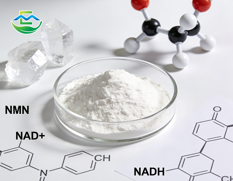 NADH Powder